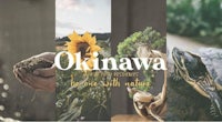 okinawa - a place with nature