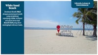 white stand beach sign in front of a palm tree