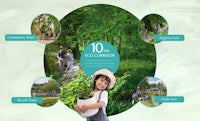 an image of a child holding a plant in a park