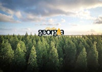 a field of trees with the word georgia in the background