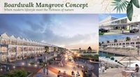 boardwalk mangrove concept